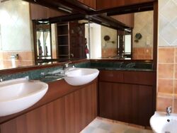 Mount Faber Lodge (D4), Condominium #556476321
